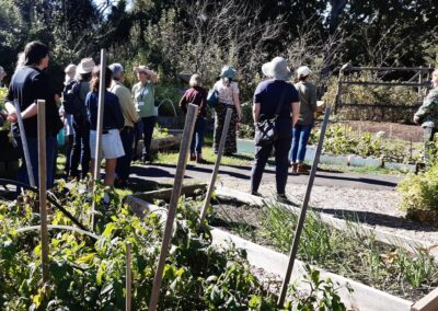 Large group of people in an outdoor garden.