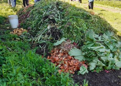 Fresh biodynamic compost heap with many offcuts from veggies. It is a large mound.