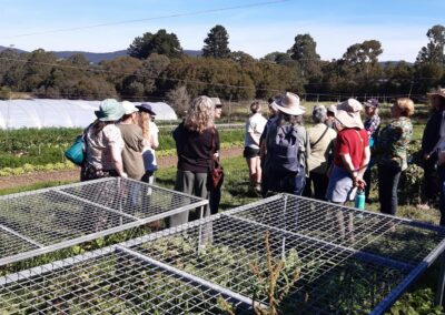 Group of women in a field of rows of vegetable beds. There is a forest and hills in the background.