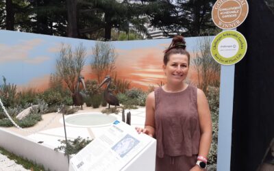 MIFGS 2026: Sunset Over Salt Lake by Ebony Cetinich