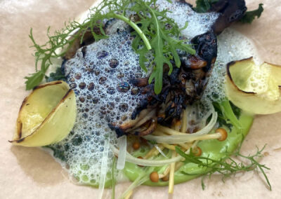 Close up photo of some high-class food. Looks like some exotic mushrooms, a sauce, some bubbles, and some greens.