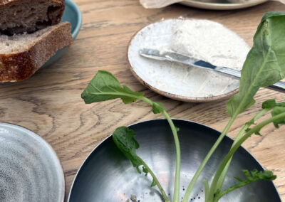 Close up photo of some high-class food. There's some bread, dip, and some creative looking things with leaves.
