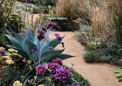 A pretty pathway in Jo Ferguson’s garden