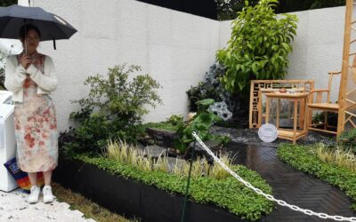 MIFGS 2026: Flowers in The Mirror, Moon on The Water by Ruirui Zhang